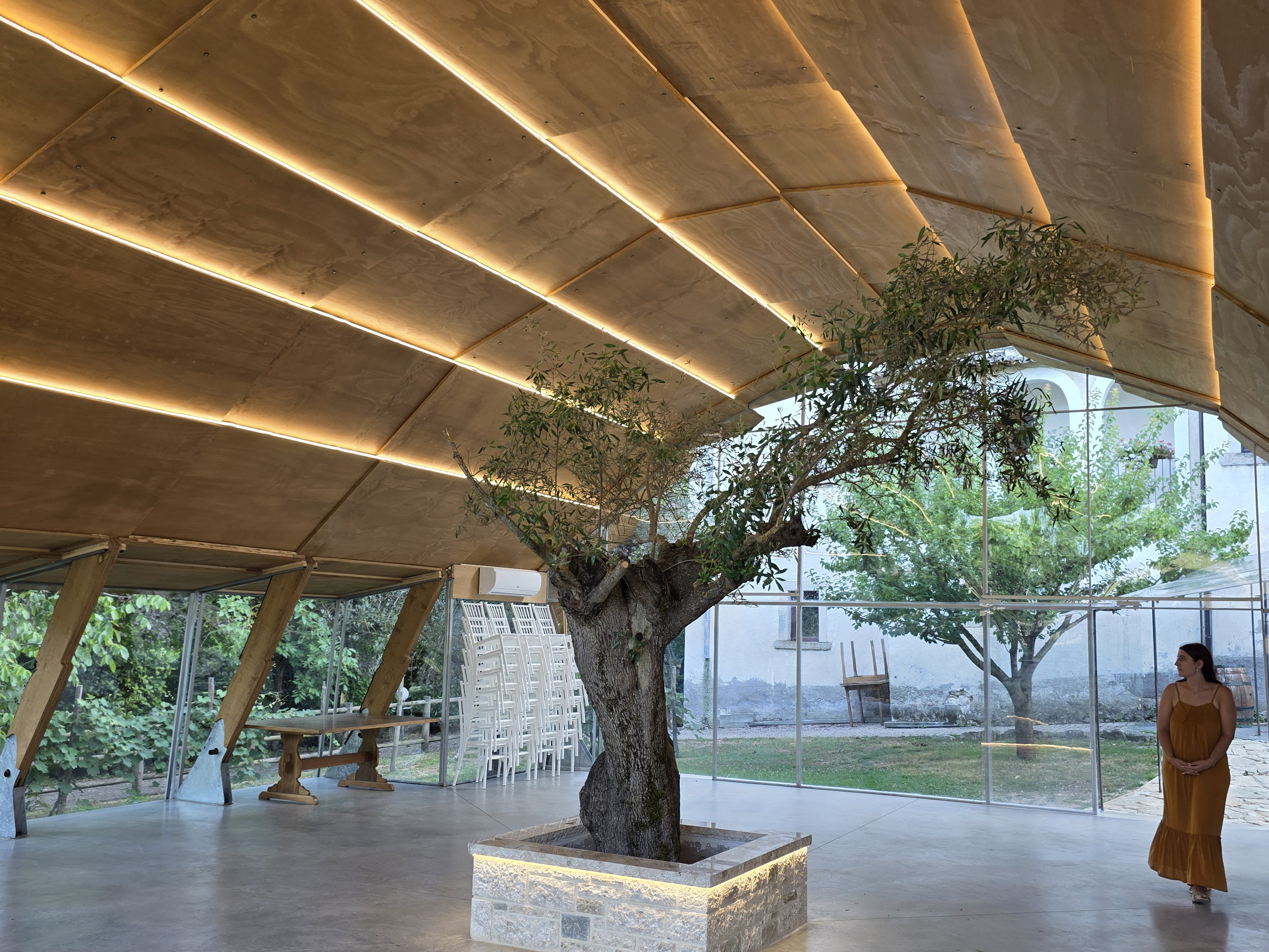 Interno del padiglione: volta in legno illuminata, ulivo secolare al centro e pareti in vetro sul giardino